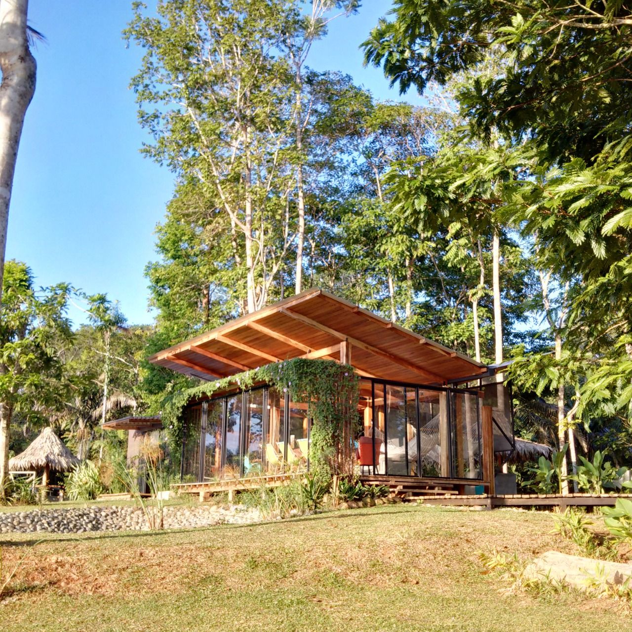 Glazed house in the jungle